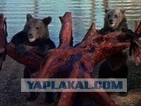 Очень страшные звуки!, ...