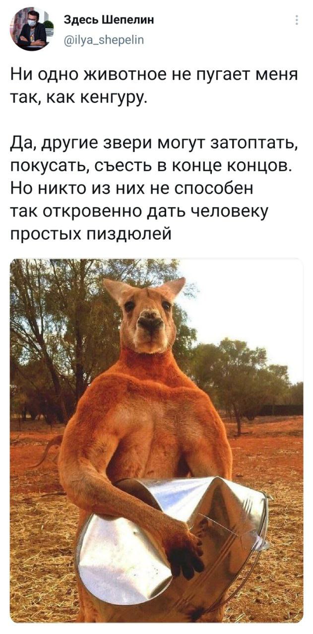 Картинки и мемы для настроения 024