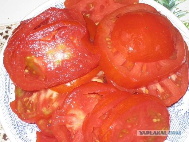 Вся правда о КАБАЧКАХ и ЦУККИНИ