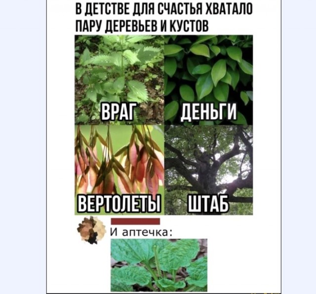 Картинки и мемы 08.10.2021