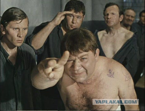 Мышь поймала котов