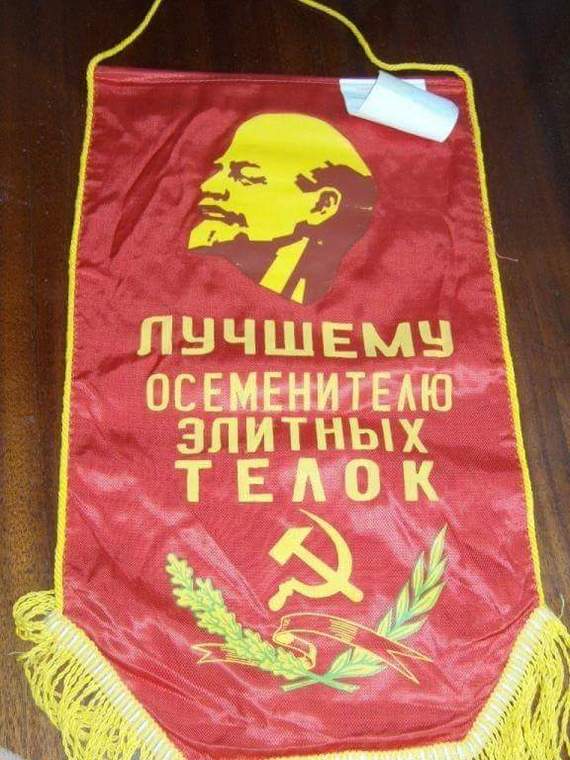 Спелость & Зрелость