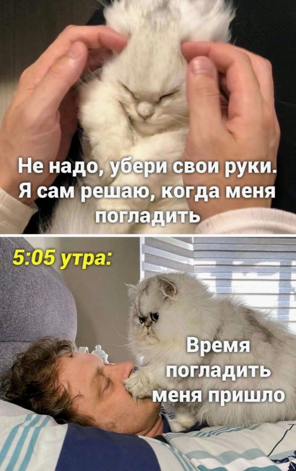 Немного картинок для настроения - 131