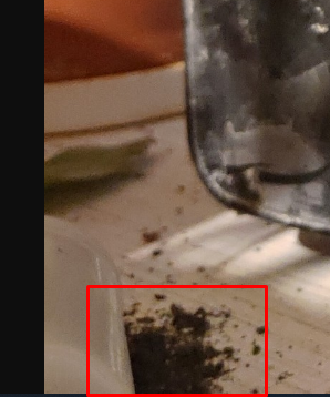 Что женщина хочет в жизни больше всего?