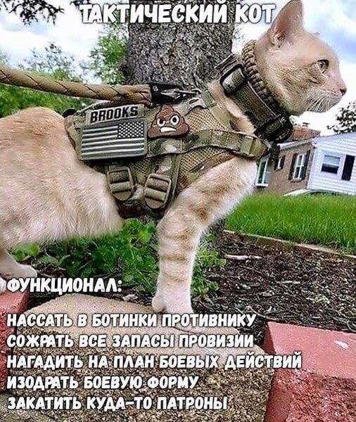 Немного картинок для настроения - 129