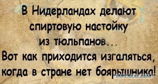 Алкогольный юмор