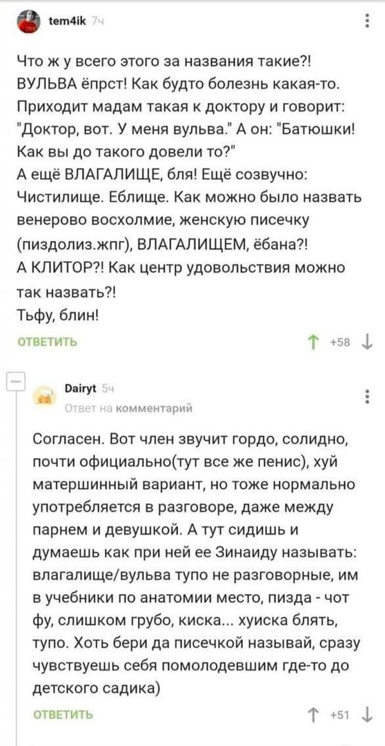 Так себе картинки 24.12.22