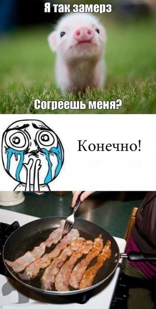Взращение кабанчика