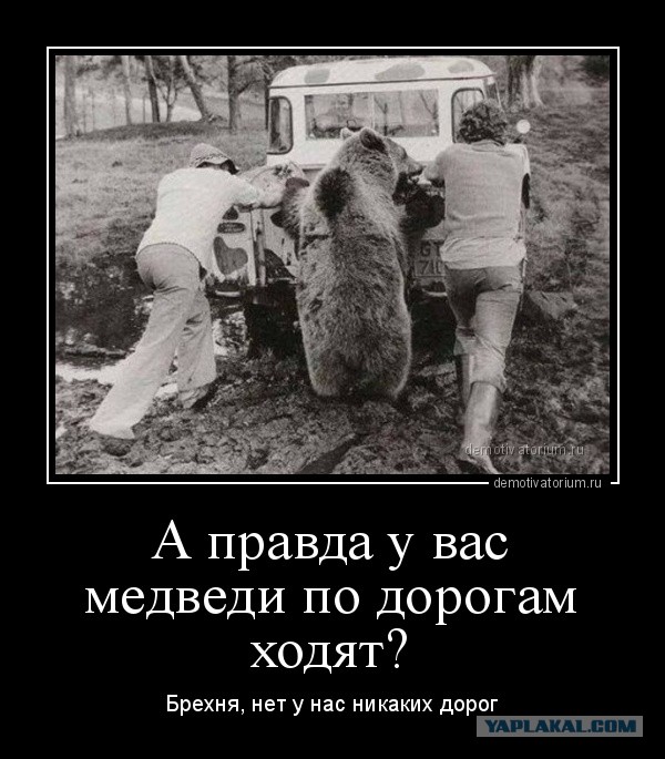 "История до смешного кретинская"