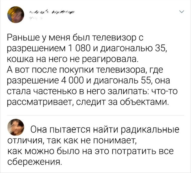 Картинки и мемы для настроения - 181