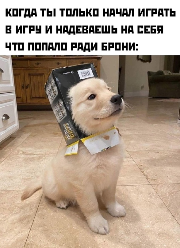 Картинки и мемы для настроения - 181