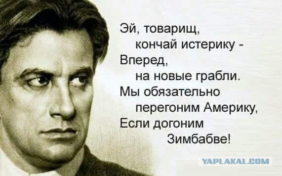 Совфед одобрил закон об изъятии загранпаспортов у призванных на службу
