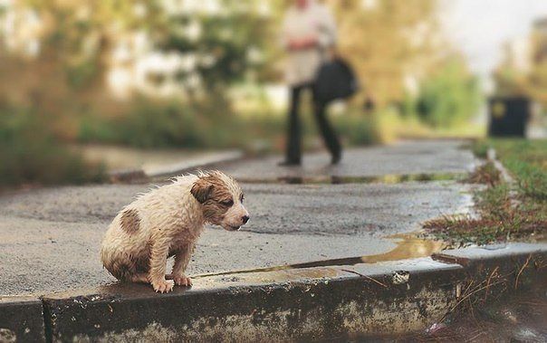 Такая вот дружба