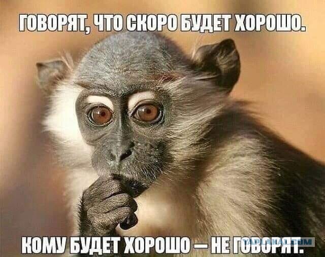 Стала известна стоимость проезда по платной трассе М12 Москва-Казань