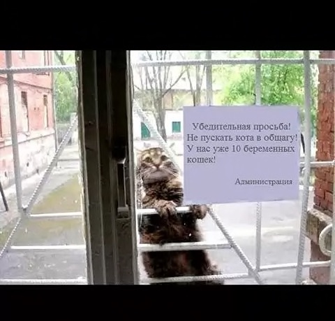 Заботливый…⁠⁠