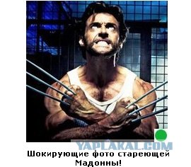 Автодемотиватор на ЯПе
