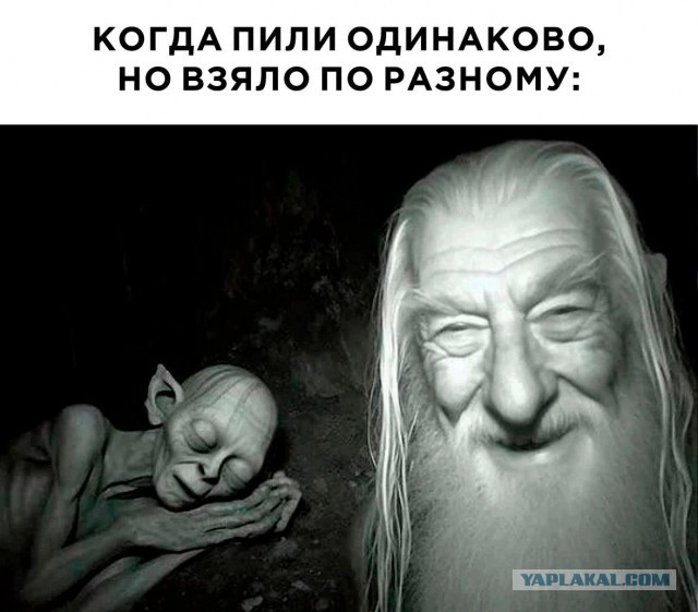Околоалкогольная подборка