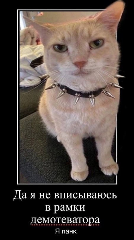 Всего понемногу. От 23.02.24