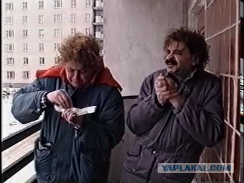 В Стокгольме прошел дождь из собачьих фекалий