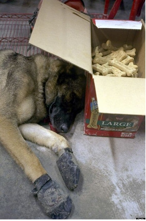 Смешал, но не взбалтывал: 24.08.24