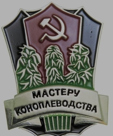 «Местные растаманы покушаются»: новосибирец возрождает забытый завод в селе — с полями льна и конопли и станками со всего СНГ