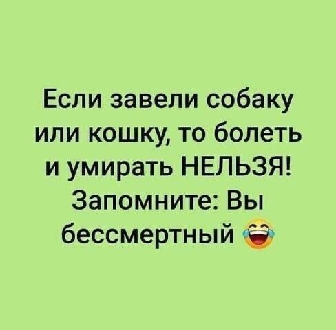 Немного забавных картинок от 22.12.24