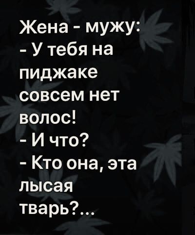 30 картинок из маршрутки №17