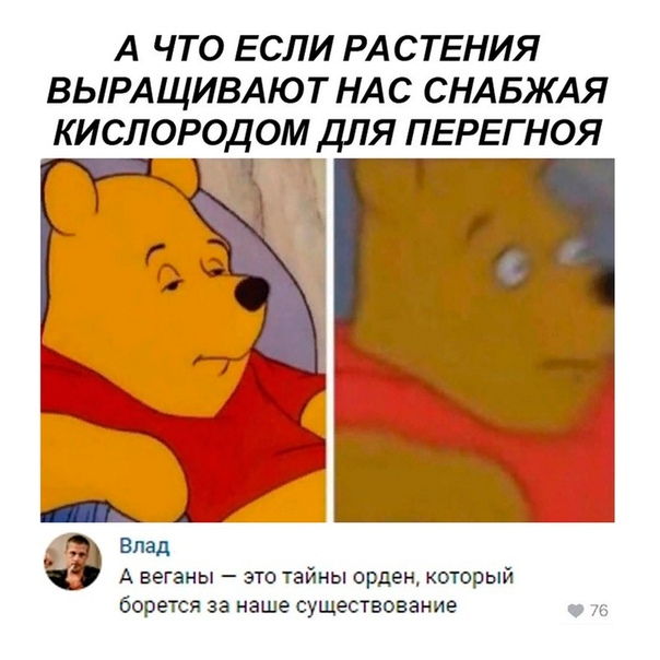 Картинки для деградации 13 (разной степени свежести)