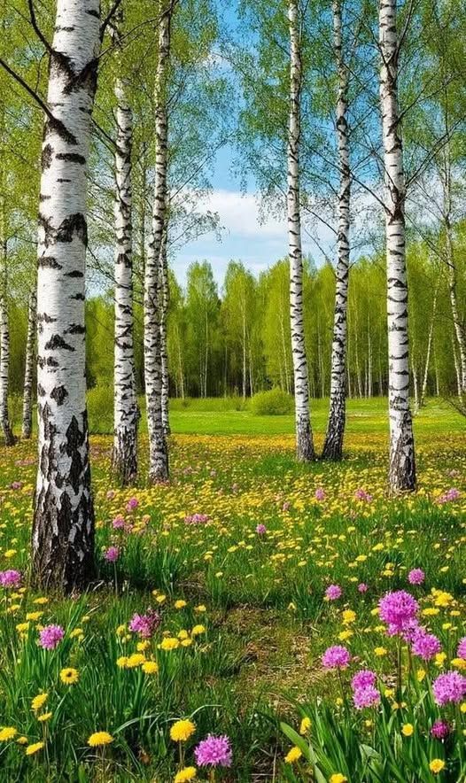 Прикольные и просто красивые картинки 05.08.2025