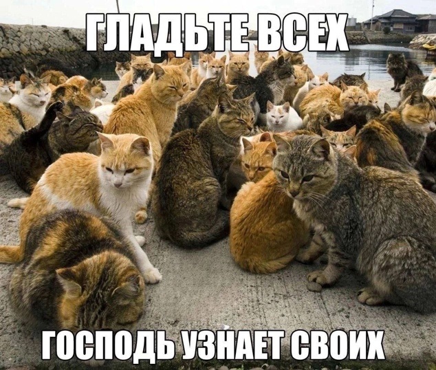 Папа, а кто такой диктатор?