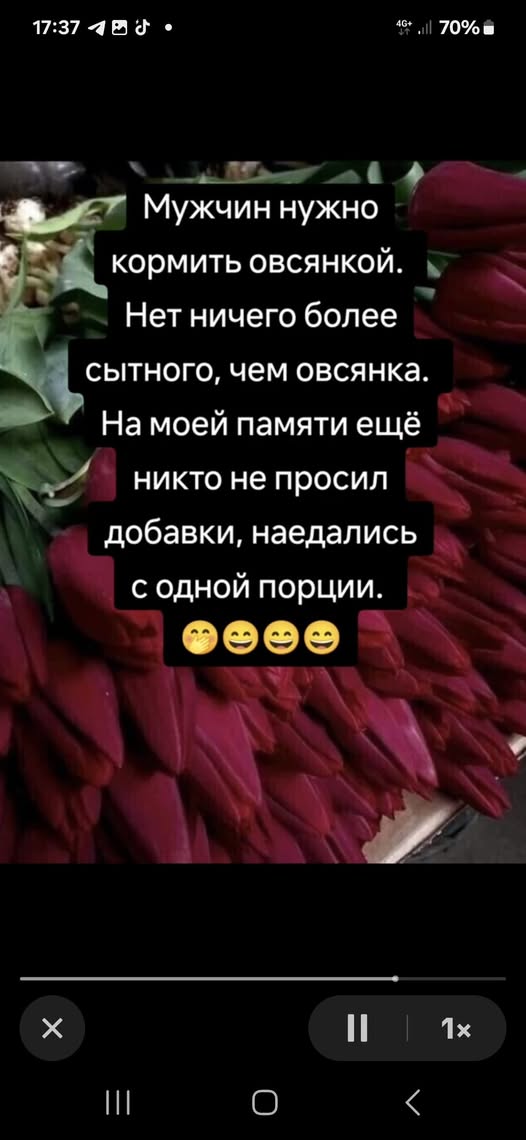 Веселые картинки в ненастоящую пятницу (31.10)