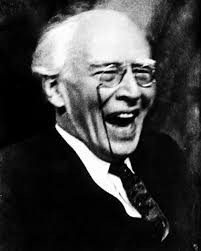 Опоссум словил инсульт *опы и инсценировал смерть