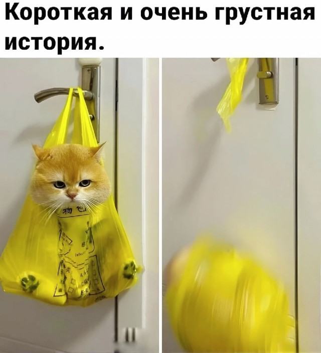 Картинки понедельника