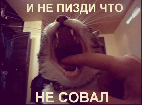 Котямбосы