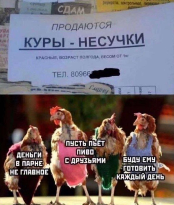 Картиночки, баянчики 29 марта