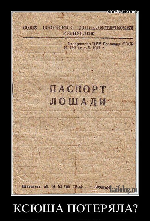 В Госдуме предложили менять паспорт после 60 лет