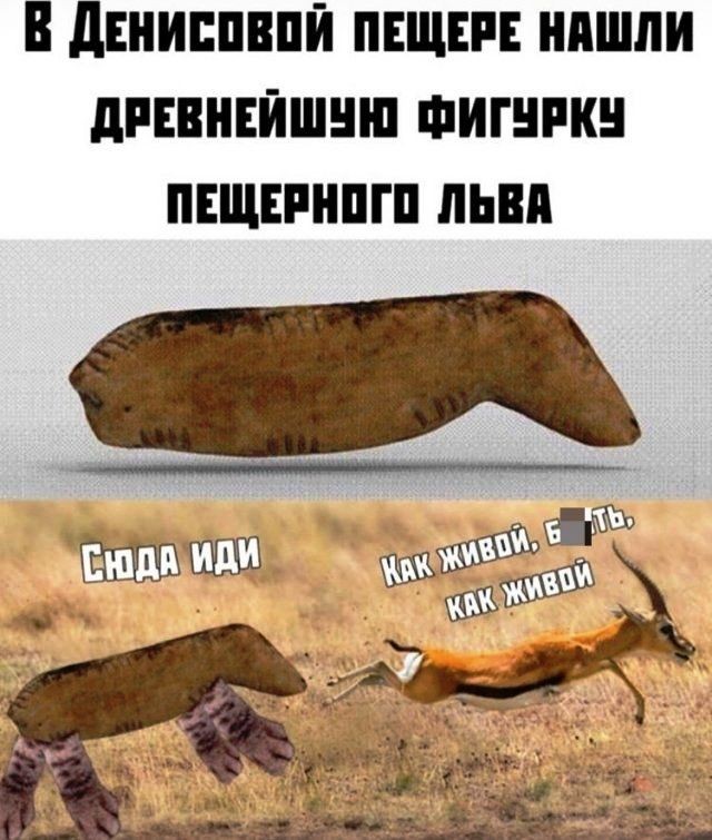 Позвольте поделюсь