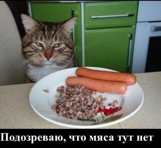 Так себе картинки 21.06.26