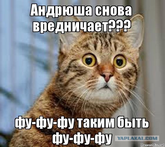 Полуповешенная Мэгги