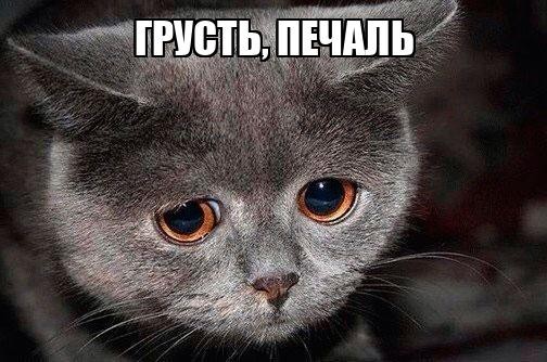 На месте Москвы плескалось море. Какие следы оно оставило