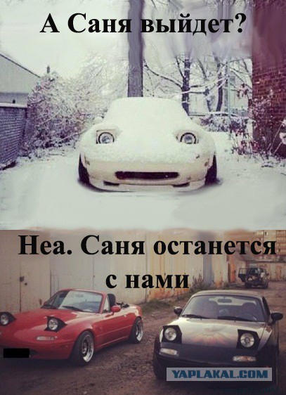 саня чето дел
