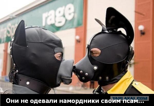 Они не кусаются...