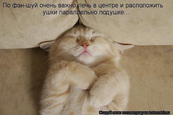 Немного позитива на пятницу.