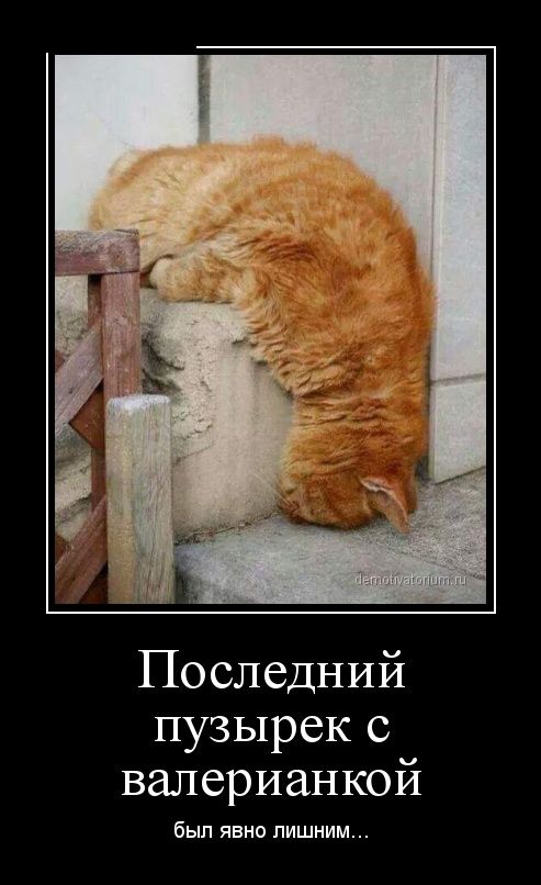 Демотиваторов пост, добавляйте свои