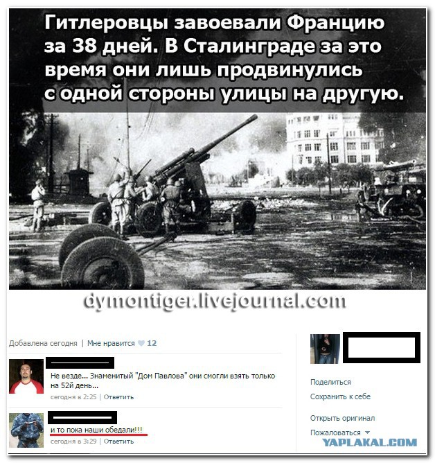 Смешные комментарии из социальных сетей 11.11.2014