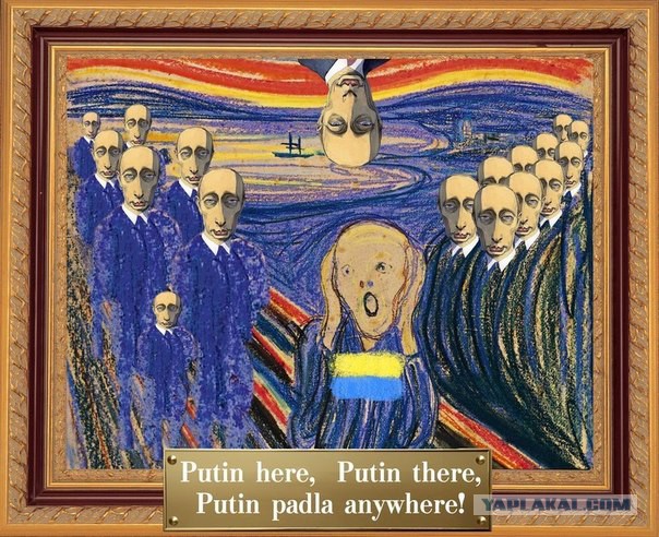 Они везде, Шарий жжот!