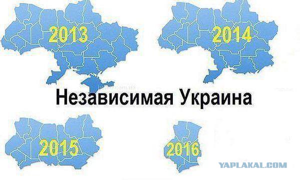 Вы уже носили цветы к посольству Франции?