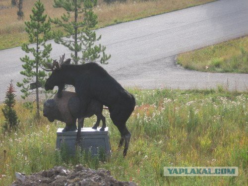 Невероятные ночные фотографии
