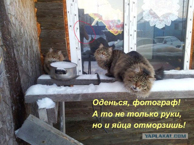 Ты чего дерзкий такой?!