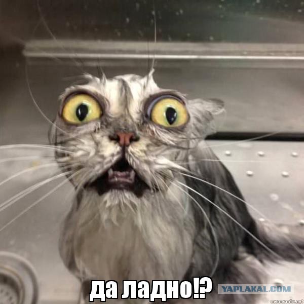 Массовая сдача в плен под Дебальцево